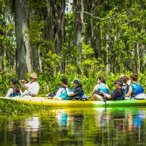 Kayak swamp tour